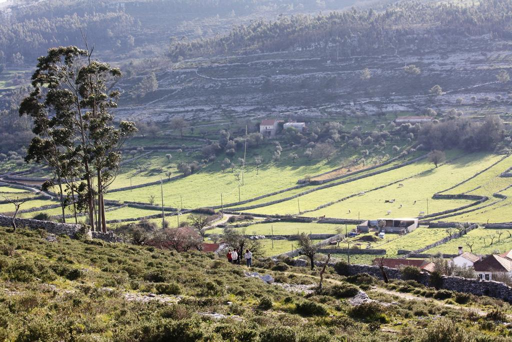 فيلا Meio Country House Alcanede المظهر الخارجي الصورة